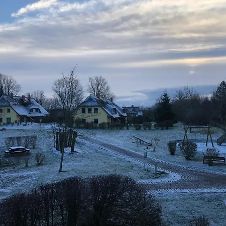 Reetdachhaus Weissdorn 1 Puddemin